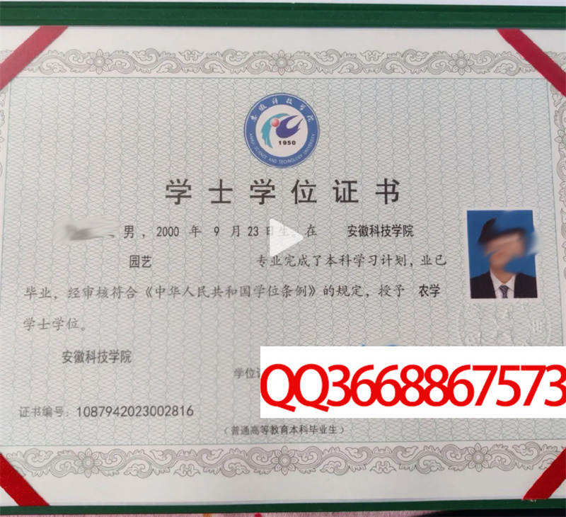 安徽大学2023年学位证图片