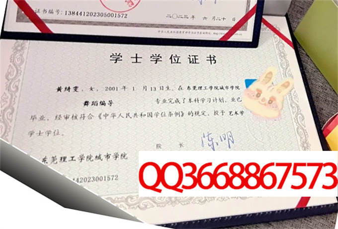 东莞城市学院2023年学位证样本