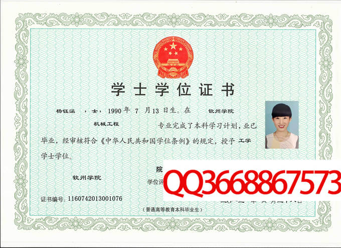 钦州学院2013年学位证样本