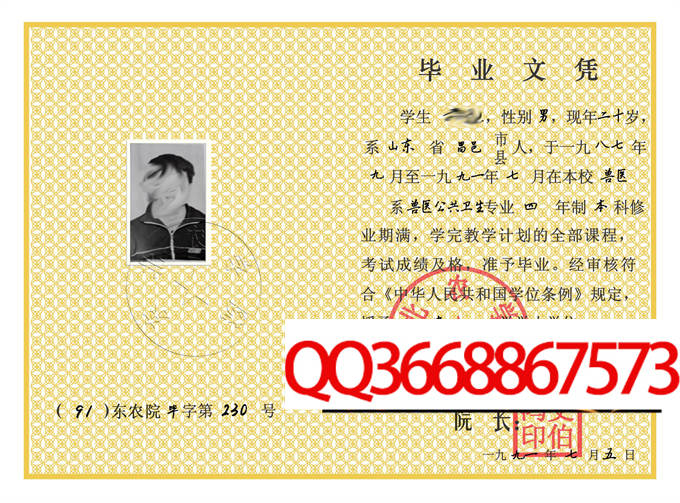 东北农学院1991年毕业证样本