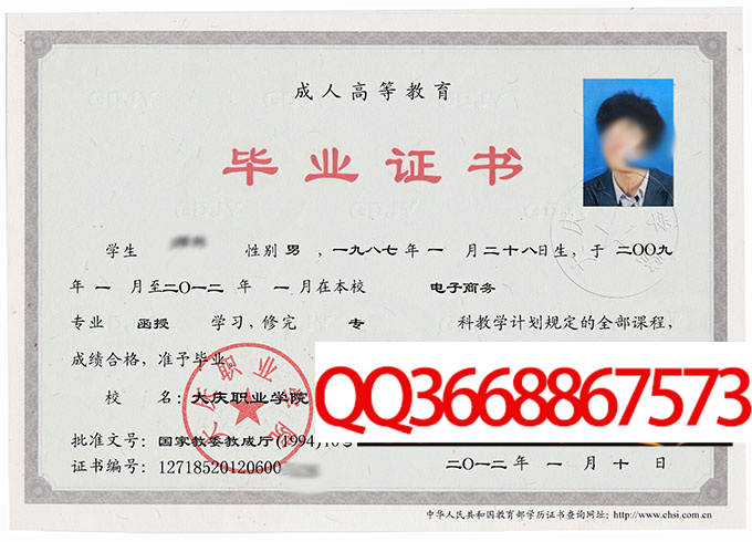 大庆职业学院2012年毕业证样本