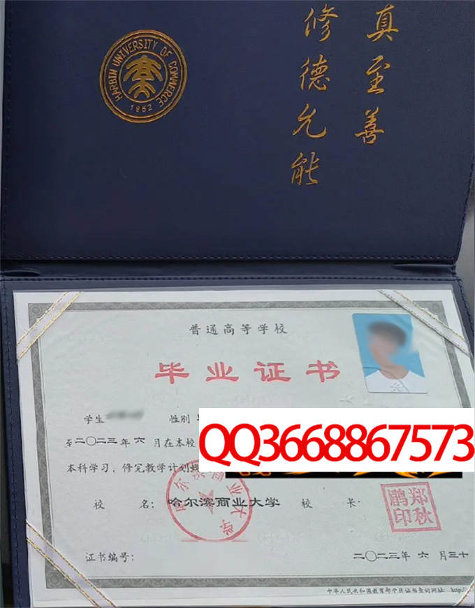哈尔滨商业大学2023年毕业证样本