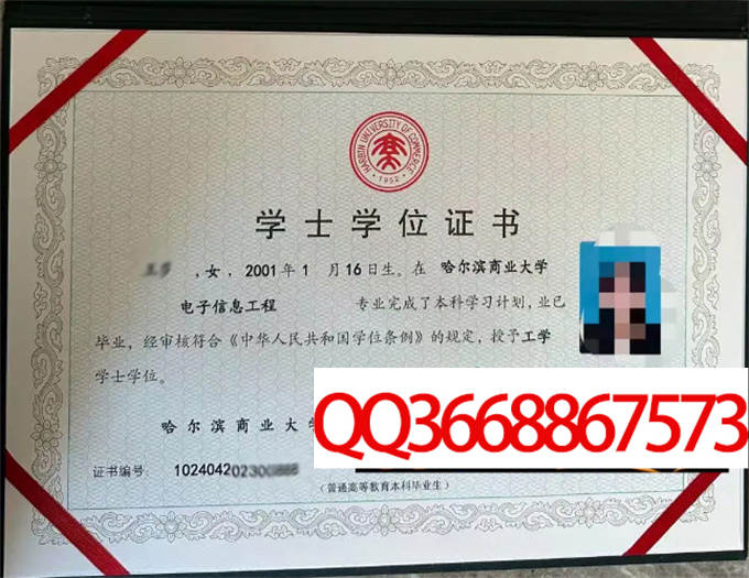 哈尔滨商业大学2023年学位证样本