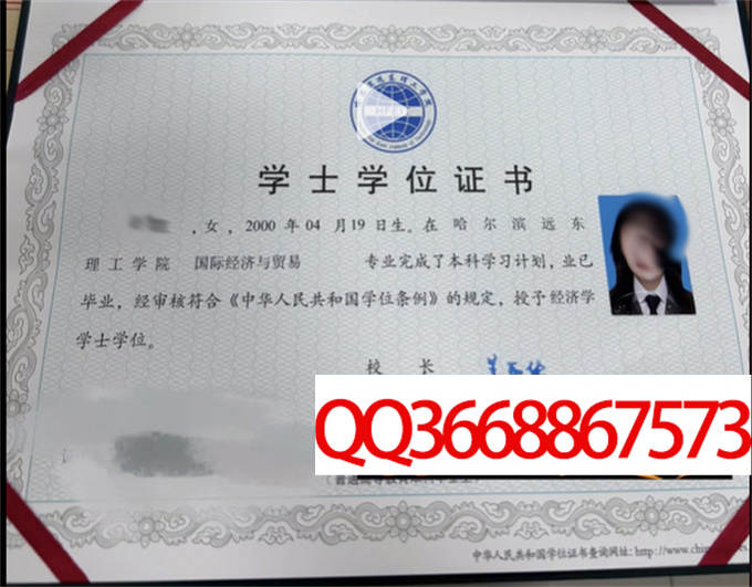 哈尔滨远东理工学院2023年学位证样本