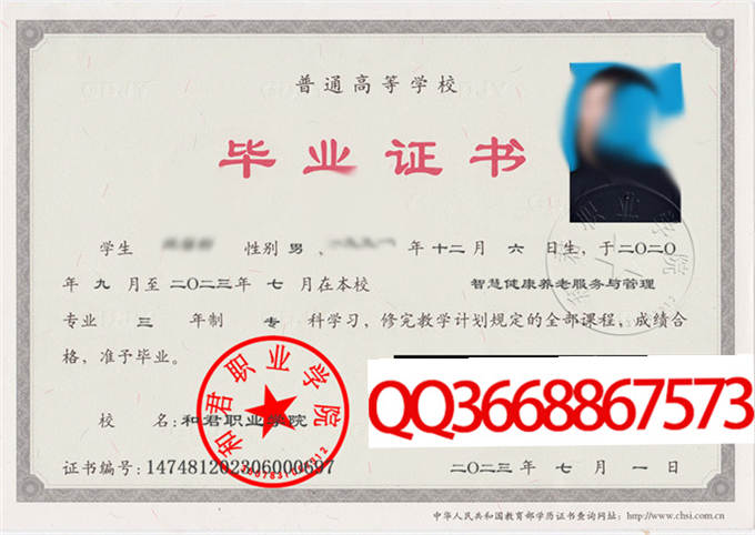 和君职业学院2023年毕业证样本