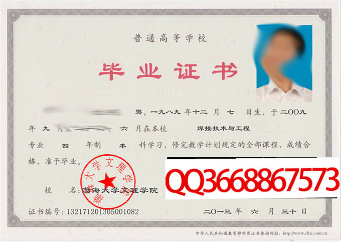 渤海大学文理学院2013年毕业证样本