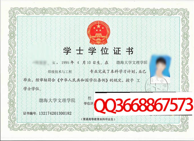 渤海大学文理学院2013年学位证样本