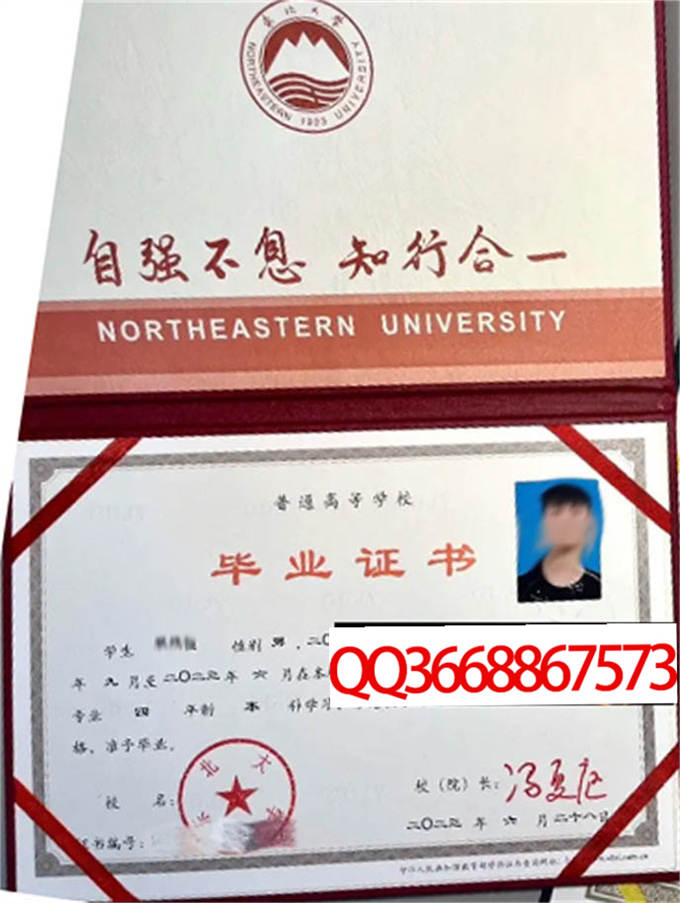 东北大学2023年毕业证样本