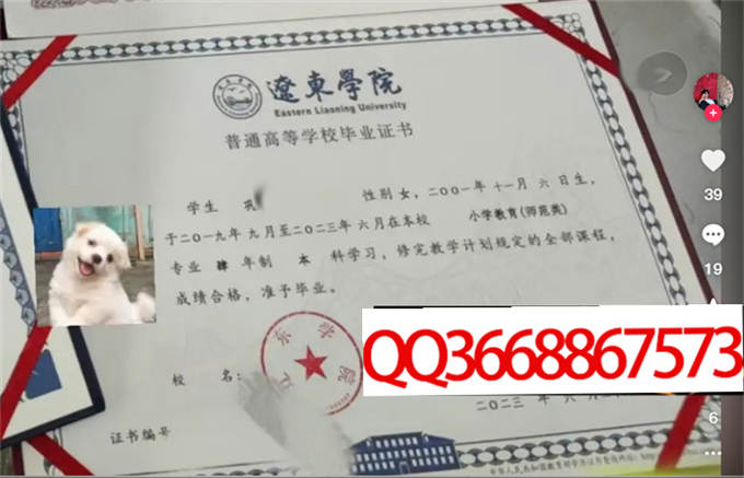 辽东学院2023年学位证样本