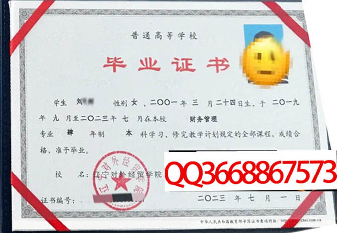 辽宁对外经贸学院2023年毕业证样本