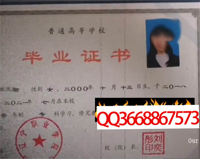 辽宁职业学院2021年毕业证样本