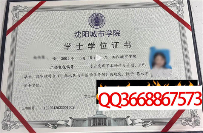 大连海事大学2022年学位证样本