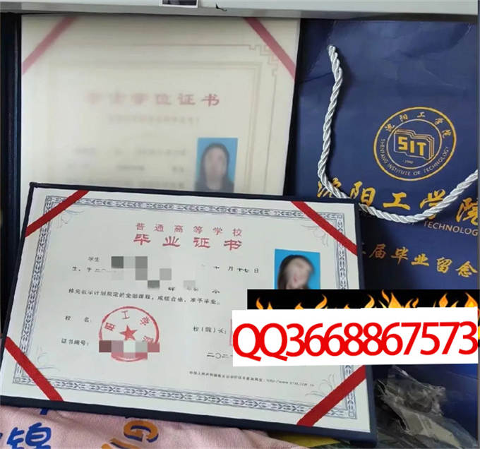 阳工学院2022年毕业证样本