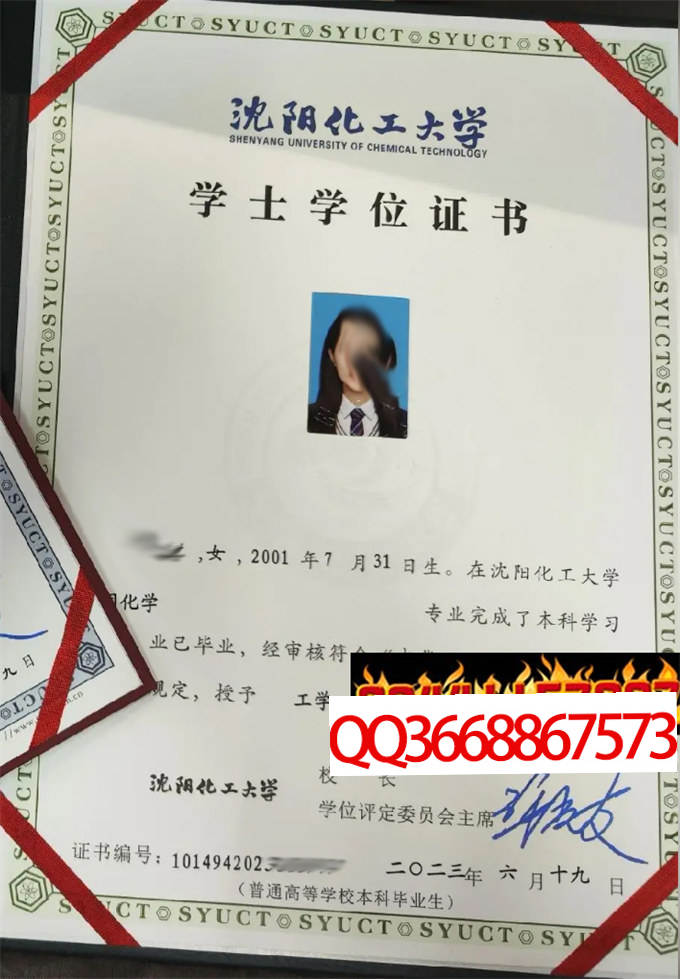 沈阳化工大学2023年学位证样本