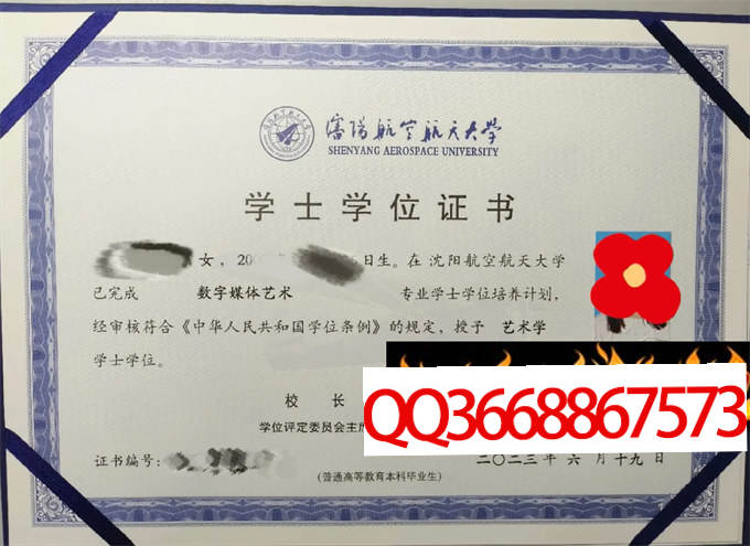 沈阳航空航天大学2023年学位证样本
