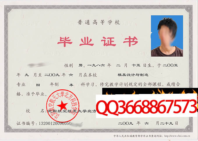 沈阳航空航天大学北方科技学院2009年毕业证样本