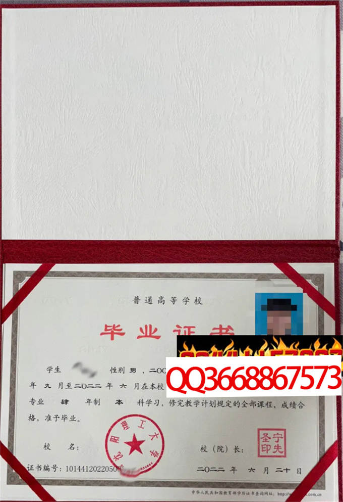 沈阳理工大学2022年毕业证样本