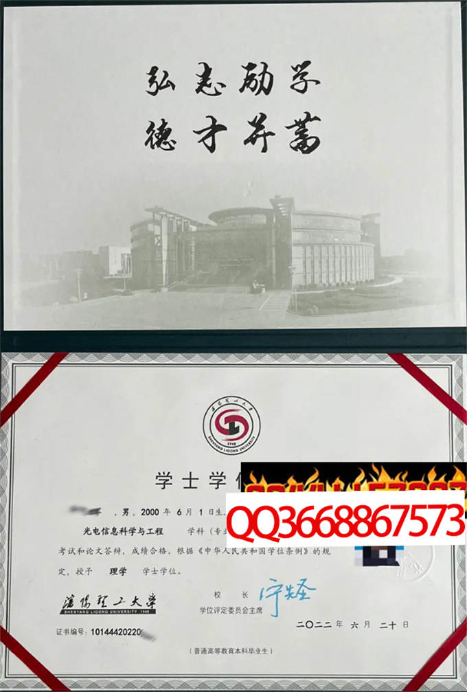 沈阳理工大学2022年学位证样本