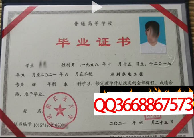 沈阳农业大学2021年毕业证样本