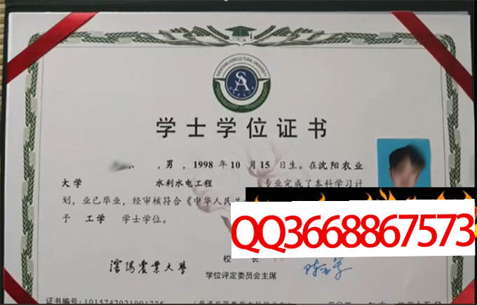 沈阳农业大学2021年学位证样本