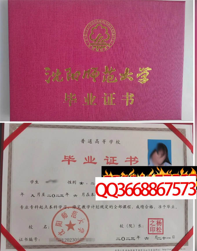 沈阳师范大学2023年毕业证样本