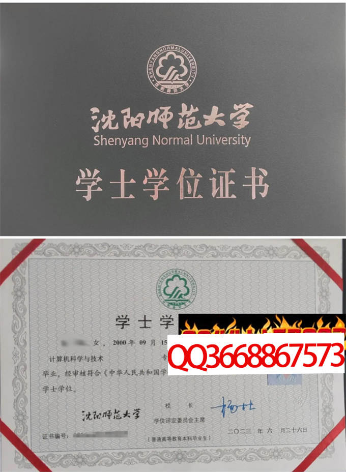 沈阳师范大学2023年学位证样本