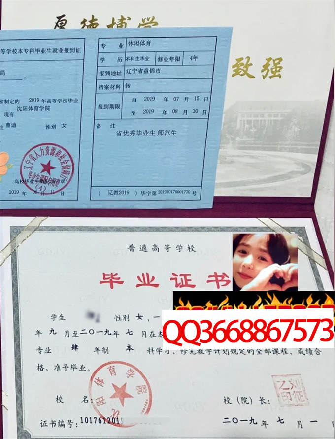 沈阳体育学院2019年毕业证样本