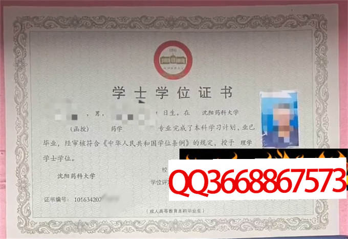 沈阳药科大学2020年学位证样本