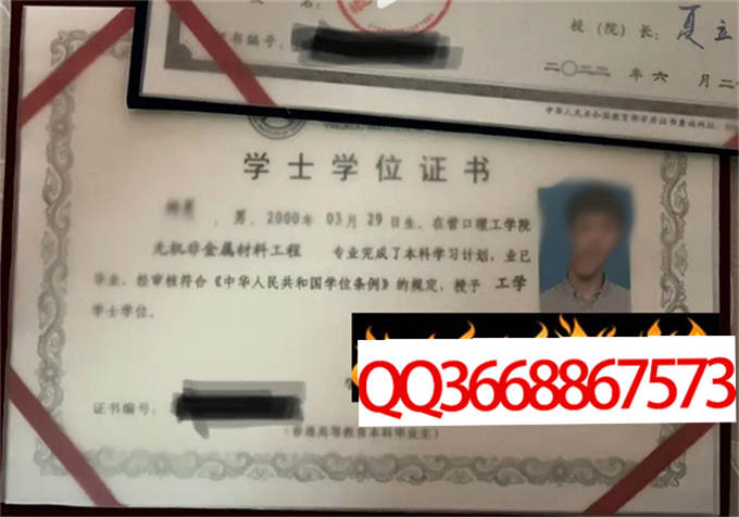 营口理工学院2022年学位证样本