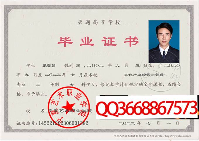 宁夏艺术职业学院2023年毕业证样本