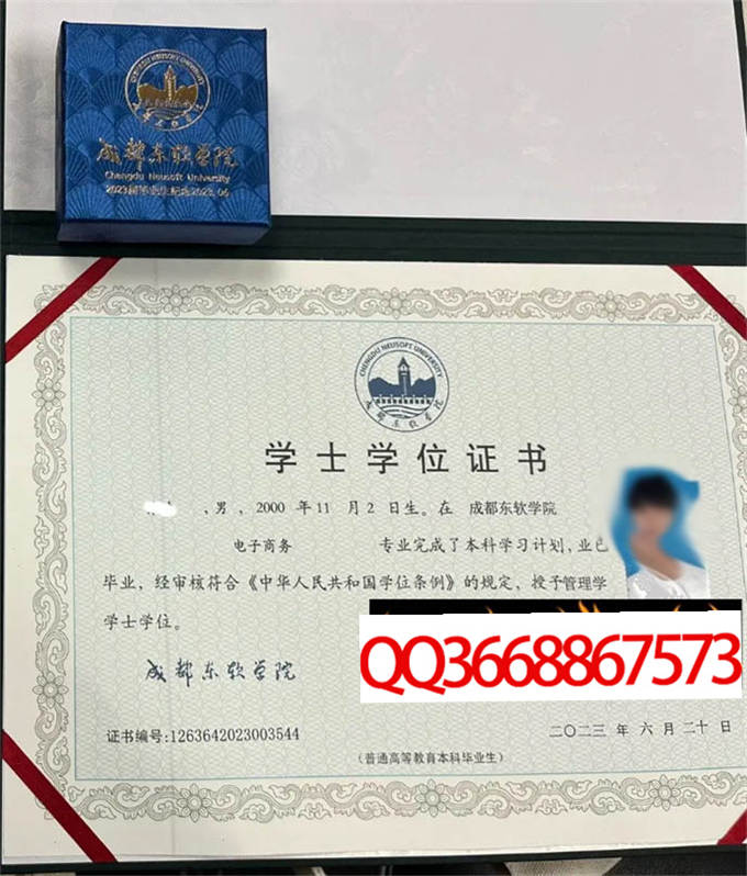 成都东软学院2023年学位证样本