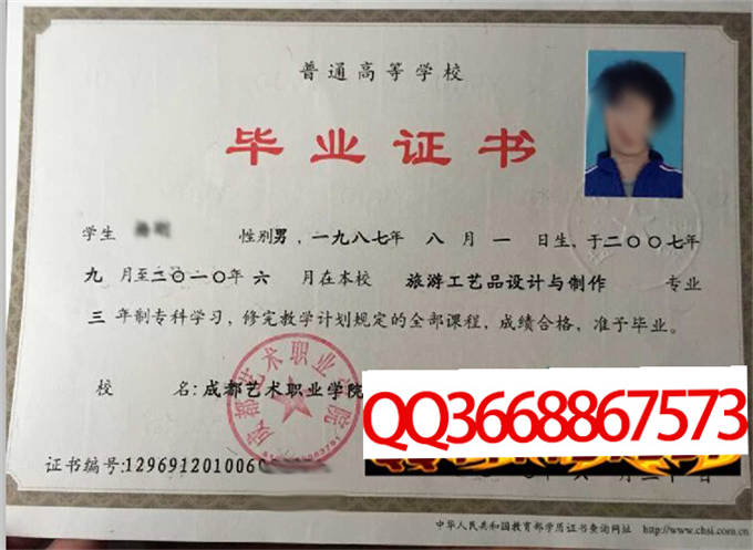 成都艺术职业学院2010年毕业证样本