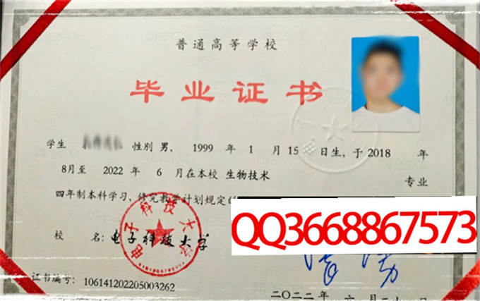 电子科技大学2022年毕业证样本