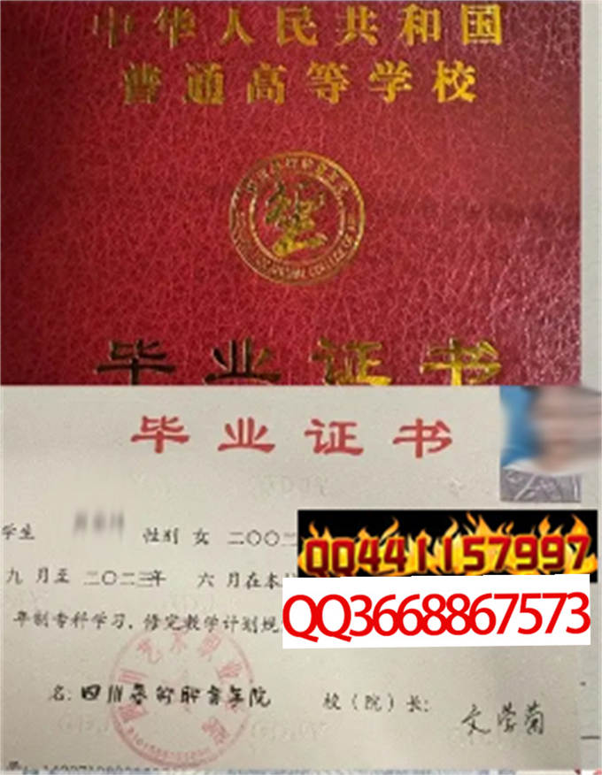 四川艺术职业学院2023年毕业证样本