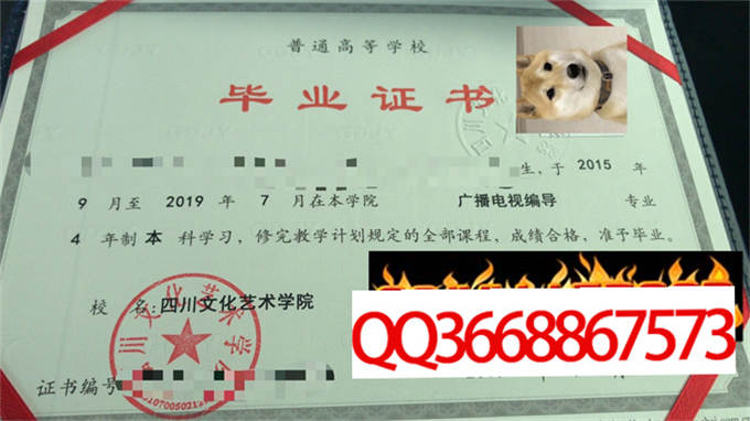 四川音乐学院绵阳艺术学院2019年毕业证样本