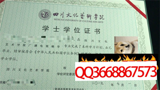 四川音乐学院绵阳艺术学院2019年学位证样本