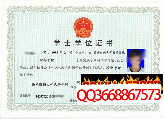 西南财经大学天府学院2011年学位证样本