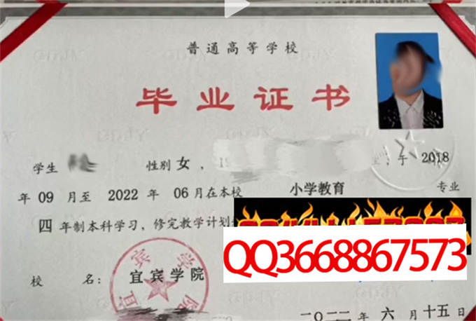 宜宾学院2022年毕业证样本