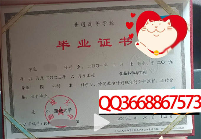 聊城大学2023年毕业证样本