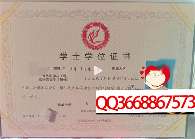 聊城大学2023年学位证样本