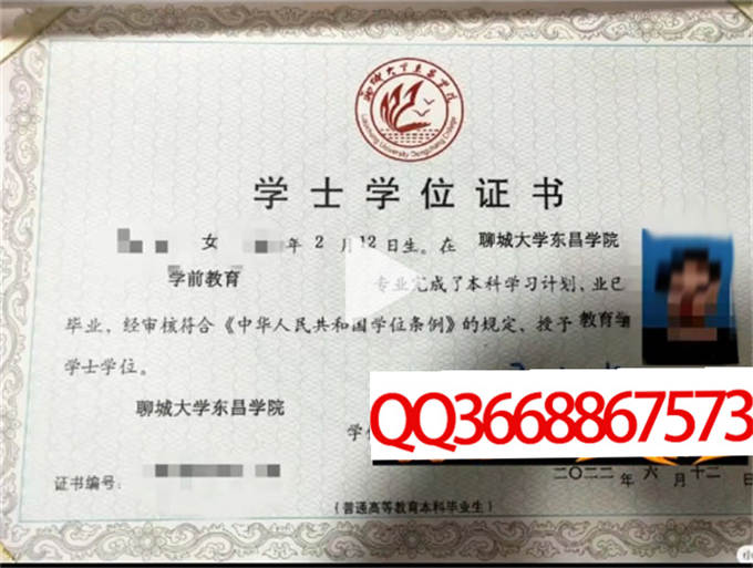 聊城大学东昌学院2022年学位证样本
