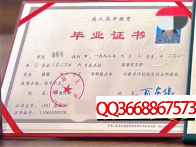 青岛大学2023年毕业证样本