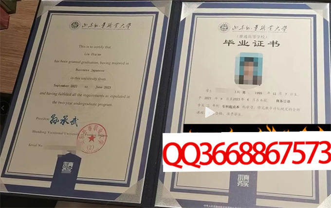 山东外事职业大学2023年毕业证样本