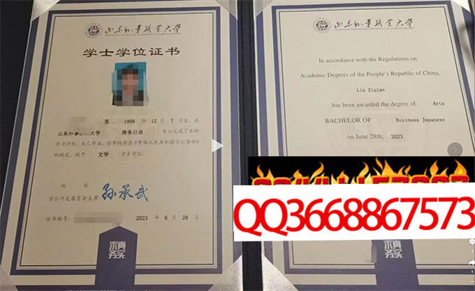 山东外事职业大学2023年毕业证样本