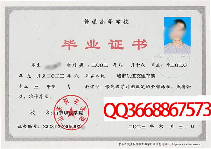 山东职业学院2023年毕业证样本