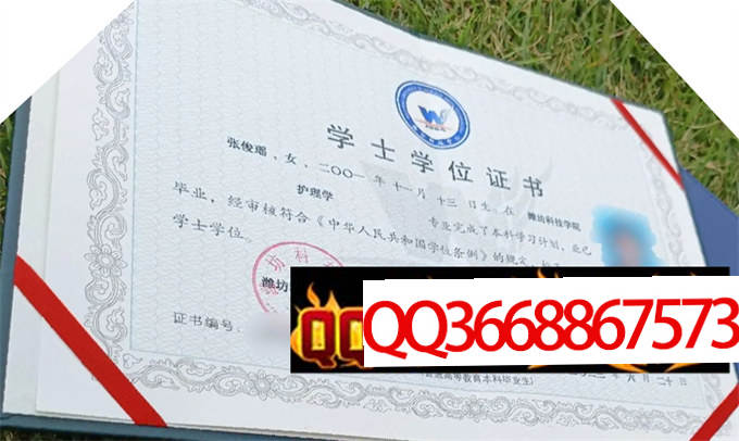 潍坊科技学院2023年学位证样本
