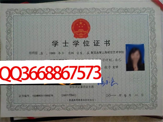复旦大学上海视觉艺术学院2011年学位证样本