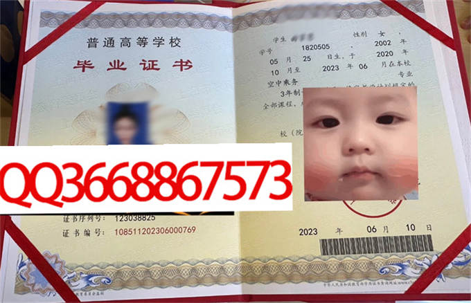 上海东海职业技术学院2023年毕业证样本