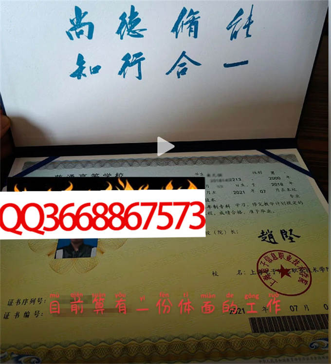 上海电子信息职业技术学院2021年毕业证样本