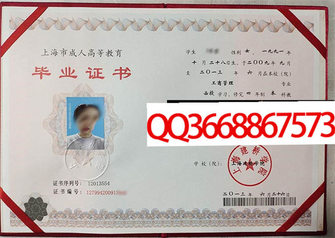 上海建桥学院2013年毕业证样本